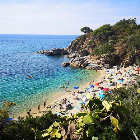 Apartment Isola D'elba - Stunning New&spacious Flat - *